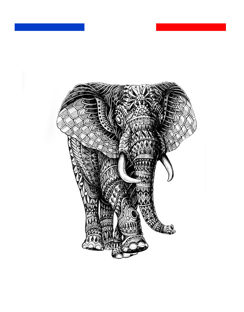 Найди слона на картинке. Слон рисунок. Слоны Графика. Слон эскиз. Слон черно белый.