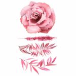 Rose et fleurs