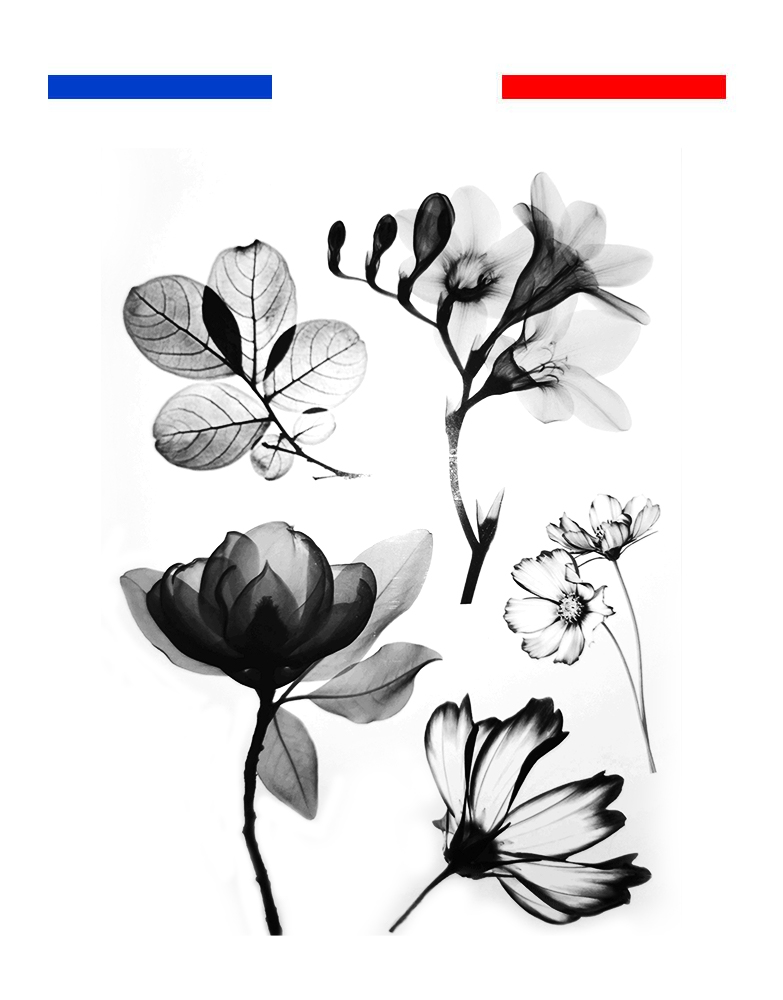Tatouage fleurs aquarelle | Mon Petit Tatouage Temporaire